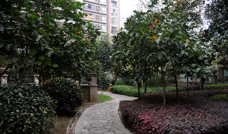 華亭陽光綠洲小區(qū)內(nèi)幽靜小道