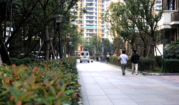 小區(qū)主干道干凈整潔