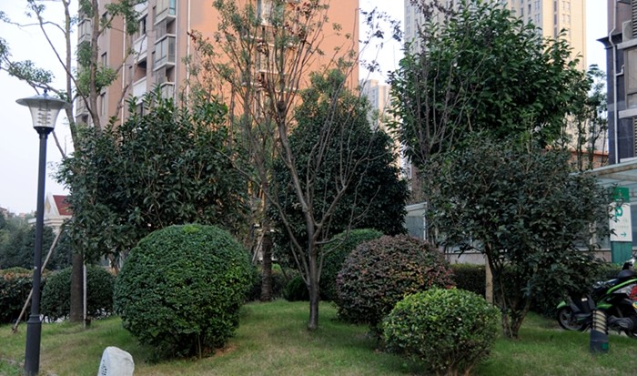 華亭陽(yáng)光綠洲小區(qū)