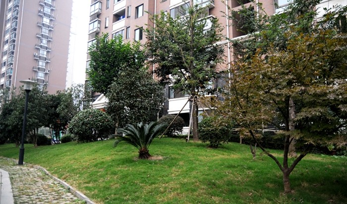 華亭陽(yáng)光綠洲小區(qū)